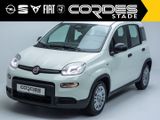 Fiat Panda Pandina 1.0 Mild Hybrid  PDC BC VZ-Erkennu - Fiat Panda Tageszulassungen