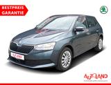 Skoda Fabia 1.0 MPI Ambition Android Apple Sitzheizung - Skoda Fabia: 1.0