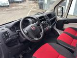 Fiat Ducato 2.0 Multijet| 116 PS| L1H1  - Fiat Ducato: Multijet
