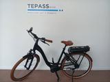 Riese & Müller Swing4 silent - Riese & Müller E-Bikes