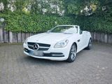 Mercedes-Benz Mercedes Benz SLK 250 - Mercedes-Benz SLK 250 mit Benzin-Antrieb