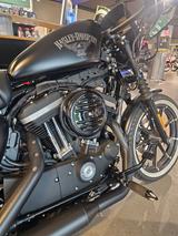 Harley-Davidson Sportster XL 883 N Iron - Harley-Davidson Sportster Iron 883