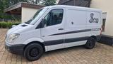 Mercedes-Benz Sprinter 313 CDI L1H1, W906, Kasten, Klima... - Mercedes-Benz Sprinter aus 2009: 313 Cdi