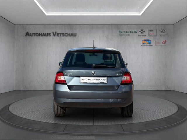 Fabia 1.2 TSI Joy/PDC/DAB/SHZ Bluetooth Klima