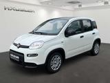 Fiat Panda  70PS Hybrid Klima - PDC hinten - City Pak