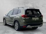 Subaru FORESTER ACTIVE 2.0 Mild-Hybrid DSG NAVI+PDC+ACC - gebrauchte Subaru Forester aus dem Jahr 2020