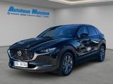Mazda CX-30 Centre-Line e-SKYACTIV-G 140 HUD Navi LED  - Mazda CX-30 mit Benzin-Antrieb: Centre Line