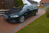 Jaguar XJ 3.0D Top Zustand  Langstreckenfa... - Jaguar XJ aus 2010