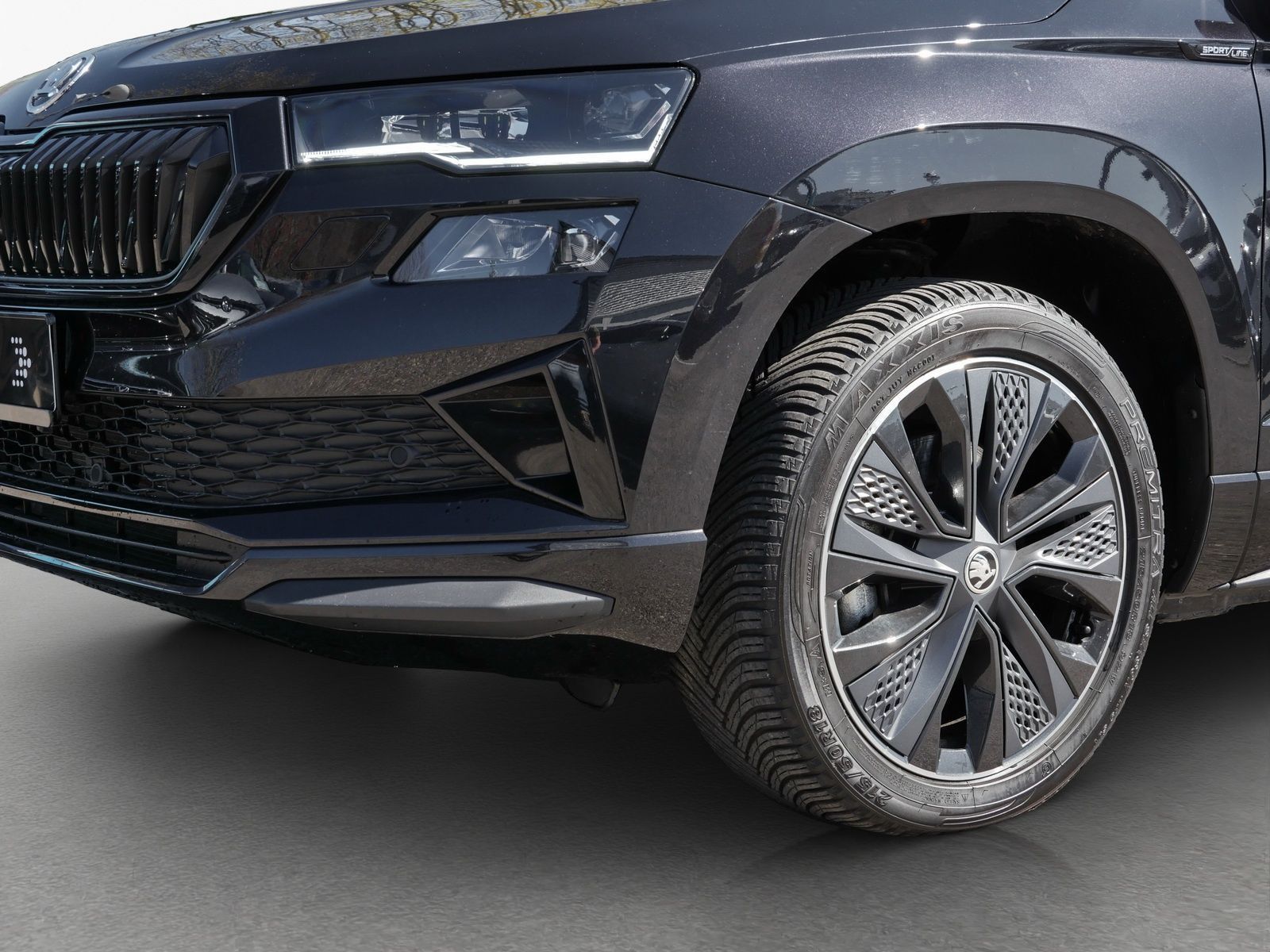 Skoda Karoq - Bild 13