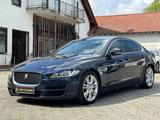 Jaguar XE D180 Prestige Bi-Xenon Leder ILS Meridian Kam - blaue Jaguar XE