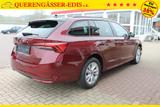 Skoda Octavia 1.5 TSI mHEV DSG*ChilliRed Pearl*ACC*... - Skoda Octavia: Kombi