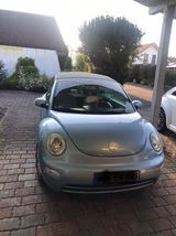Volkswagen VW-Beetle Liebhaber/in gesucht - Gesucht gebraucht