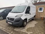 Fiat Ducato Kasten 30 130 L1H2 RS: 3000 mm - Fiat Ducato: 30