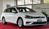 Volkswagen Golf 1.5 TGI Erdgas/Benzin Comfortline/ACC/PDC - Volkswagen Golf: Tgi