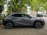 Lexus UX 250h Style Edition - Lexus UX aus 2020