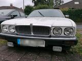 Jaguar jaguar xj40 - Jaguar XJ40 aus 1991