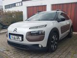 Citroën C4 Cactus BlueHDi 100 Shine Edition Shine Ed... - Citroën C4 Cactus aus 2014