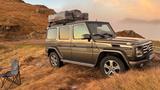 Mercedes-Benz G 350 BlueTEC, lang - - gebrauchte Mercedes-Benz G 350 aus dem Jahr 2014