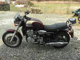 Triumph Thunderbird 900 - TRIUMPH THUNDERBIRD 900