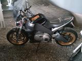 Buell XB 12SS Top Zustand Viele Extras 2 Hand - BUELL SPORTLER
