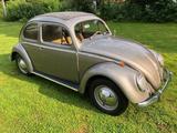 Volkswagen VW Käfer Ovali Faltdach Bj.6 / 1957 TÜV & ... - Volkswagen LT in Köln