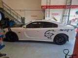 Dodge Charger 6.4 - gebrauchte Dodge Charger aus dem Jahr 2020