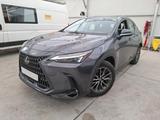 Lexus NX350h Hybrid*LED*ACC*Keyless - Lexus aus 2023