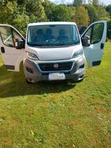 Fiat Ducato Kastenwagen - Fiat: Kastenwagen