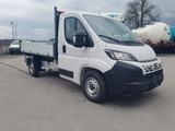 Fiat Ducato S235H L2H1 EKA 3-Seiten-Kipper 180 PS AHK - Geländestapler