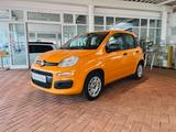 Fiat Panda Easy 1.2 Klima 1. Hand NR scheckh PDC - Fiat: Orange