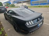 Ford Mustang 5.0 Ti-VCT V8 GT Auto GT - Ford in Ludwigsburg