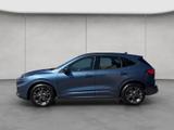 Ford Kuga 1.5 EcoBoost ST-LINE - Ford Kuga mit Anhängerkupplung