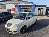 Lancia Ypsilon 1.2 8V Elle - Lancia Ypsilon Gebrauchtwagen