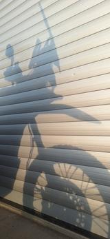 CFMOTO MT X 1000 - CFMOTO 1000MT-X