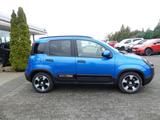 Fiat Pandina PANDA CROSS HYBRID 1.0 GSE 65PS CARPLAY  - gebrauchte Kleinwagen