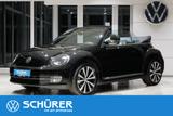 Volkswagen Beetle Cabriolet Sport Leder Xenon Navi PDC Shz - Volkswagen Beetle: Cabrio