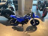 Yamaha PW 50 Modell 2025 - YAMAHA PW 50