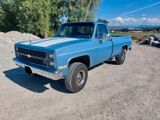 Chevrolet K10 Silverado 4x4 TÜV H *Neue Einspritzpumpe* - Chevrolet aus 1983