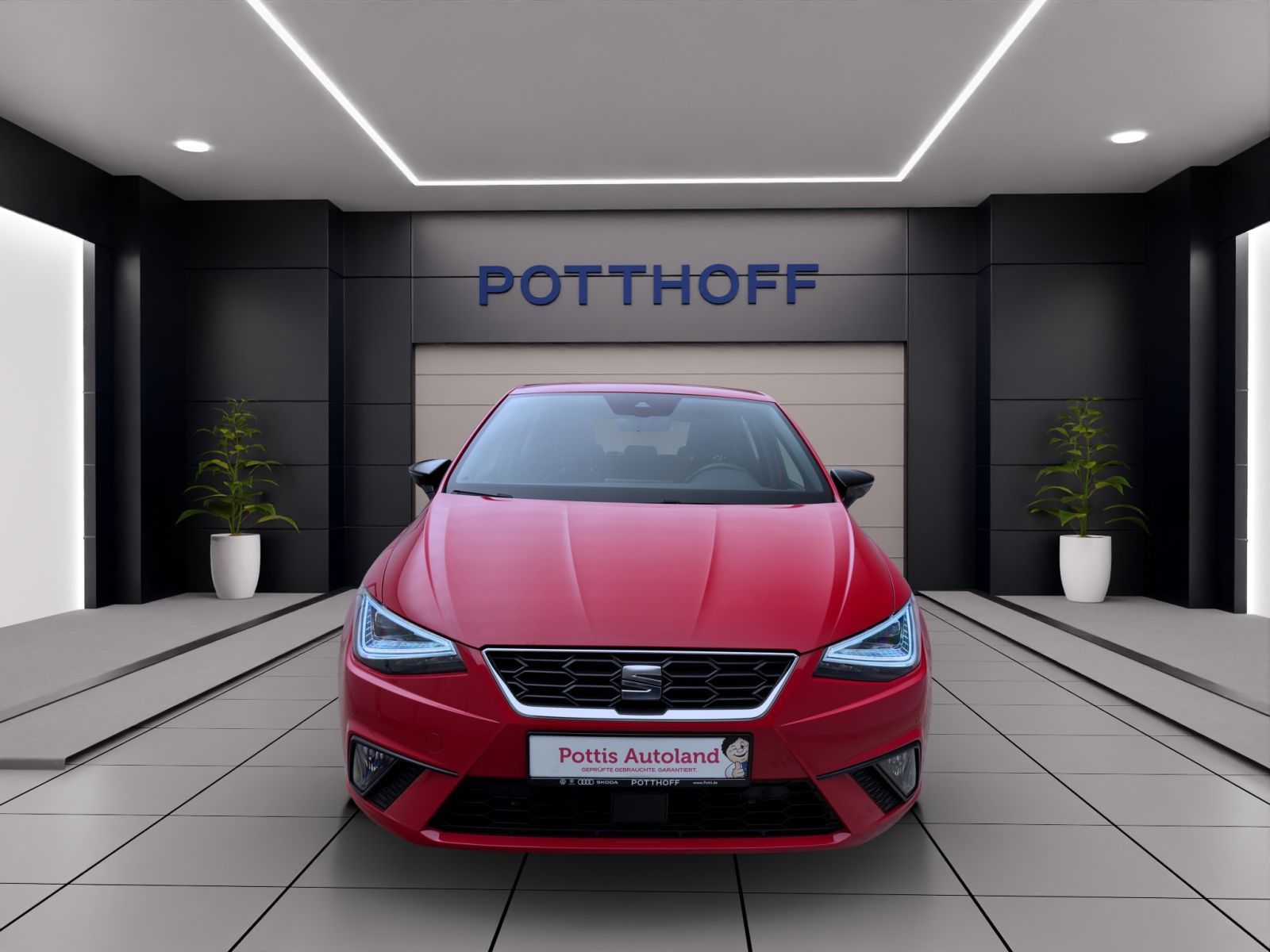 Seat Ibiza - Bild 8