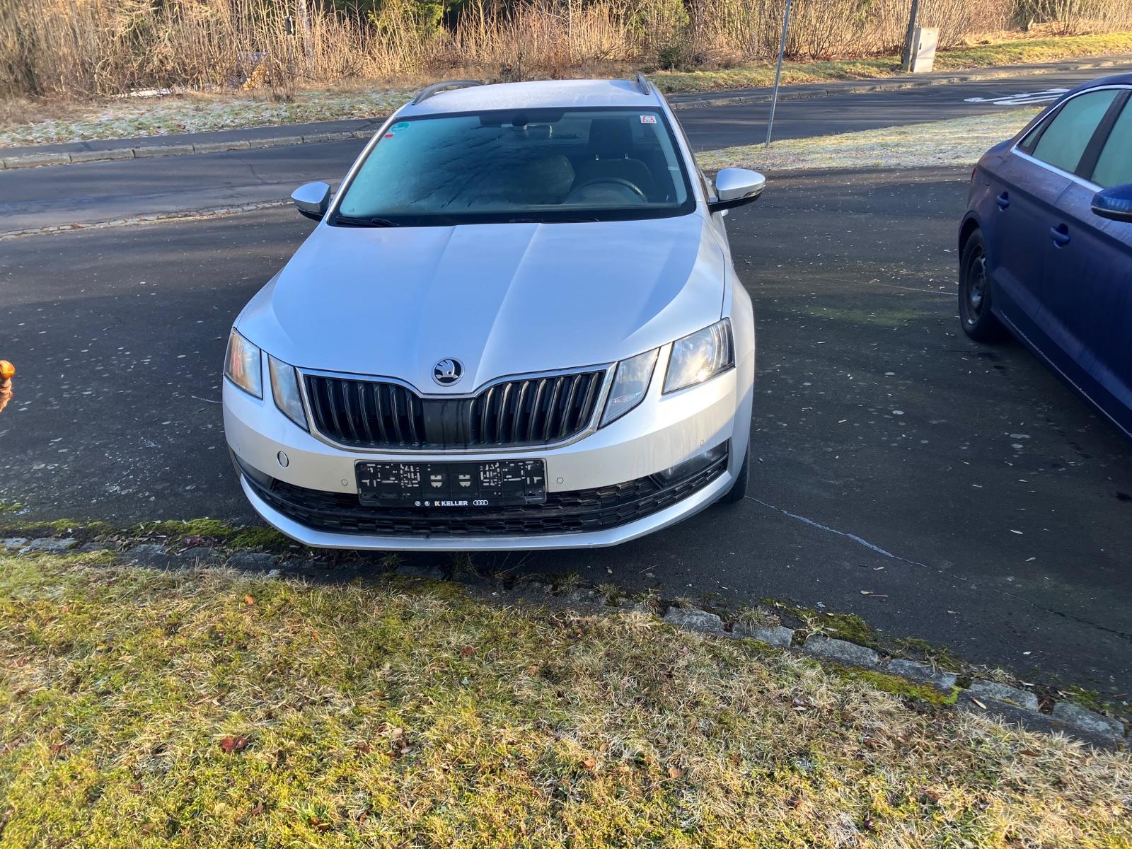 Skoda Octavia Combi Drive 4x4 Led 8xBereift