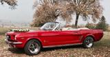Ford Mustang - Ford Mustang aus 1966