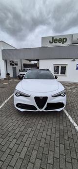 Alfa Romeo Stelvio B-Tech Q4 2.2 Ltr. 4x4,Harman Kardon - gebrauchte Alfa Romeo Stelvio aus dem Jahr 2019