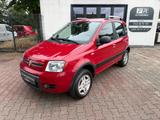 Fiat Panda 1.3 JTD 70 PS Climbing 4X4 Klima - Fiat Panda Gebrauchtwagen in Essen