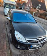 Opel Signum 1.9 CDTI 110kW - - Opel Signum: 1.9