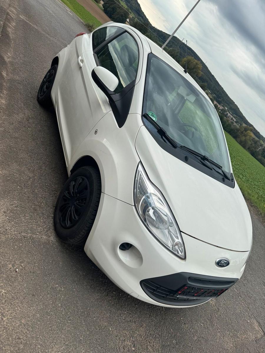 Ford Andere