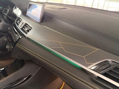 BMW X2 sDrive 20 i Edition Goldplay