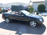 Mercedes-Benz CLK 200 Kompressor Cabrio"VOLLLEDER"188000 KM" - Mercedes-Benz CLK 200 aus 2004