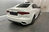 Jaguar XE P250 R-Dynamic SE*Panorama*Winter-Paket* - weiße Jaguar XE