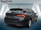 Skoda Octavia Combi 110kW 2.0 TDI Selection AHK ACC - Skoda Octavia Neuwagen in Köln