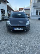 Fiat Punto 1.2  - Fiat Punto: 1.2